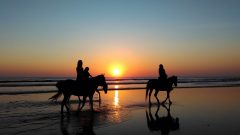 Riding horses at sunset on beach
