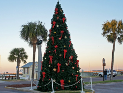 Fernandina Beach Christmas Tree || Amelia Vacations